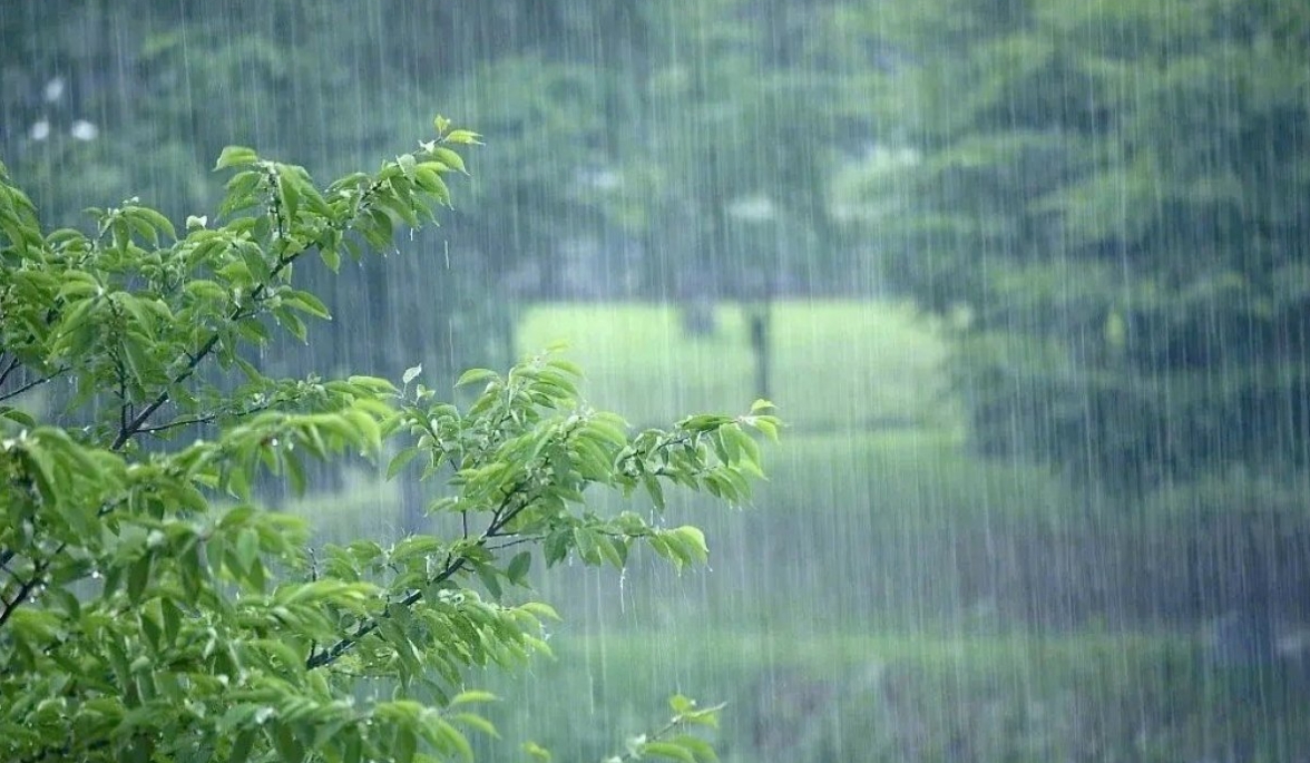 河南南部和东部有大到暴雨、大暴雨！